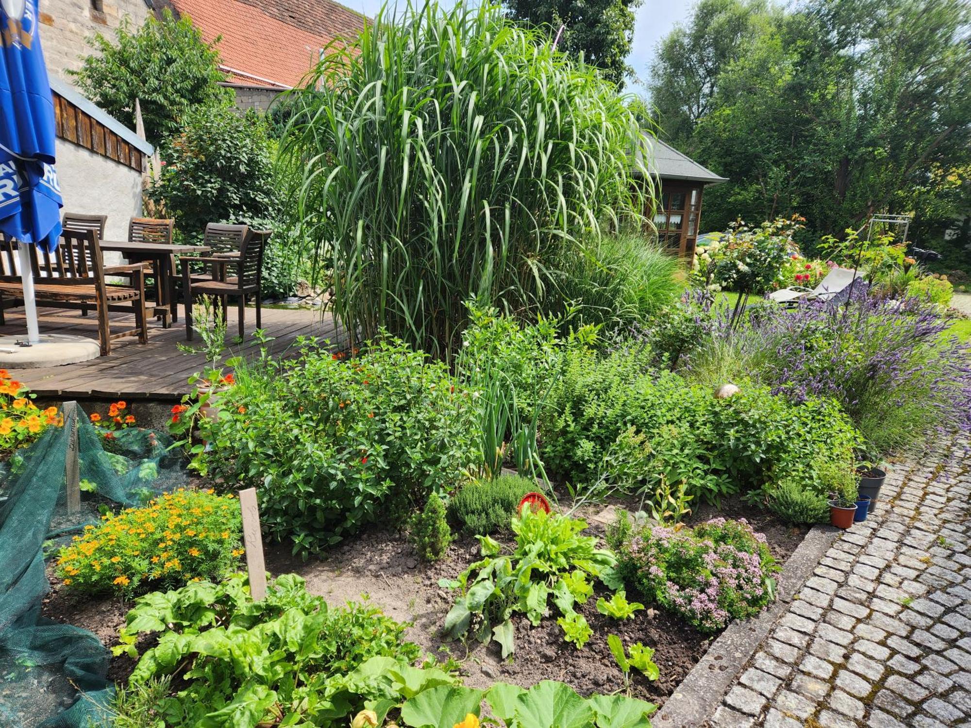Familienfreundlich Im Naturpark Hassberge Mit Gehobener Gastronomie Kirchlauter المظهر الخارجي الصورة